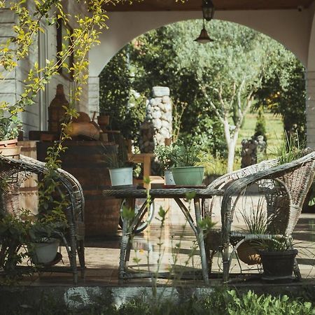 Guesthouse Lord Byron Tepelene Экстерьер фото